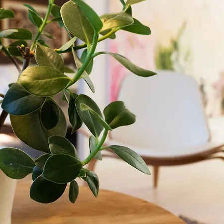 Huoneisto Luminary 21